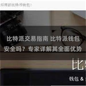 比特派交易指南 比特派钱包安全吗？专家详解其全面优势