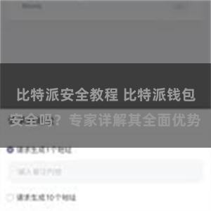 比特派安全教程 比特派钱包安全吗？专家详解其全面优势