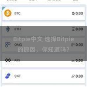 Bitpie中文 选择Bitpie的原因，你知道吗？