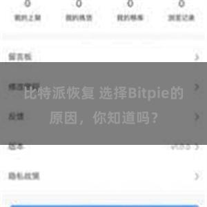 比特派恢复 选择Bitpie的原因，你知道吗？