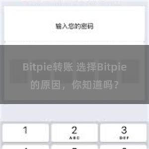 Bitpie转账 选择Bitpie的原因，你知道吗？