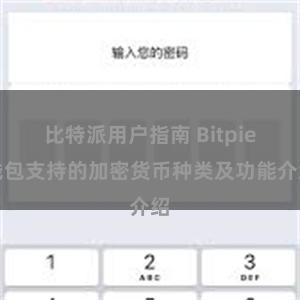 比特派用户指南 Bitpie钱包支持的加密货币种类及功能介绍