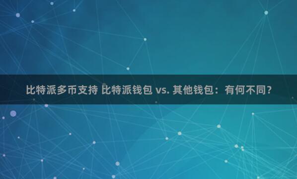 比特派多币支持 比特派钱包 vs. 其他钱包：有何不同？