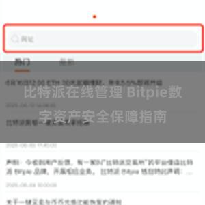 比特派在线管理 Bitpie数字资产安全保障指南