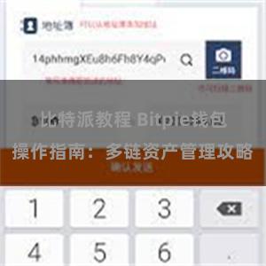 比特派教程 Bitpie钱包操作指南：多链资产管理攻略