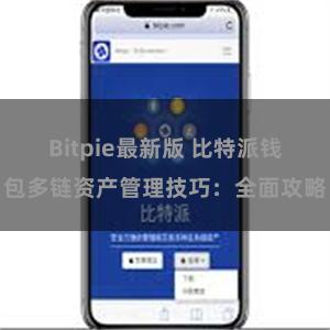 Bitpie最新版 比特派钱包多链资产管理技巧：全面攻略