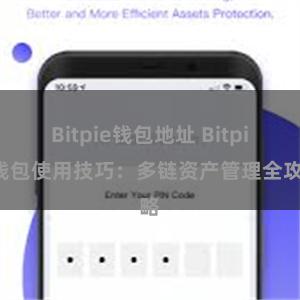 Bitpie钱包地址 Bitpie钱包使用技巧：多链资产管理全攻略