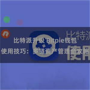 比特派升级 Bitpie钱包使用技巧：多链资产管理全攻略