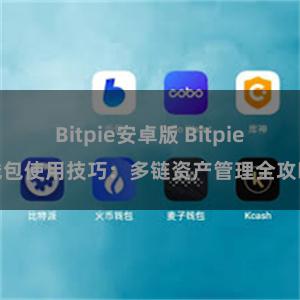 Bitpie安卓版 Bitpie钱包使用技巧：多链资产管理全攻略