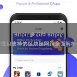 Bitpie多币种 Bitpie钱包支持的区块链网络全面解析