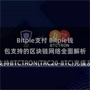 Bitpie支付 Bitpie钱包支持的区块链网络全面解析