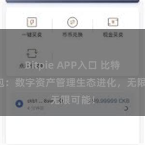 Bitpie APP入口 比特派钱包：数字资产管理生态进化，无限可能！