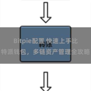 Bitpie配置 快速上手比特派钱包，多链资产管理全攻略