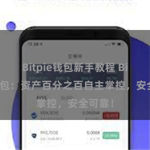 Bitpie钱包新手教程 Bitpie钱包：资产百分之百自主掌控，安全可靠！