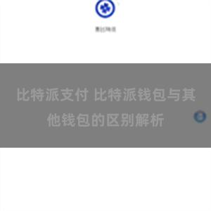 比特派支付 比特派钱包与其他钱包的区别解析