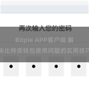 Bitpie APP客户端 解决比特派钱包使用问题的实用技巧