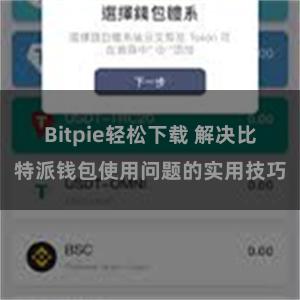 Bitpie轻松下载 解决比特派钱包使用问题的实用技巧