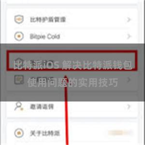 比特派iOS 解决比特派钱包使用问题的实用技巧