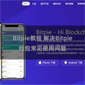 Bitpie教程 解决Bitpie钱包常见使用问题