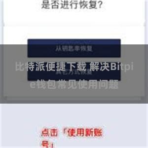 比特派便捷下载 解决Bitpie钱包常见使用问题