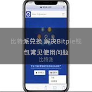 比特派兑换 解决Bitpie钱包常见使用问题