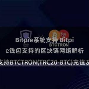 Bitpie系统支持 Bitpie钱包支持的区块链网络解析