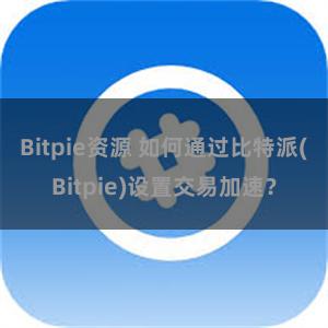 Bitpie资源 如何通过比特派(Bitpie)设置交易加速？