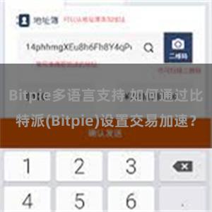 Bitpie多语言支持 如何通过比特派(Bitpie)设置交易加速？