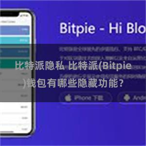 比特派隐私 比特派(Bitpie)钱包有哪些隐藏功能？