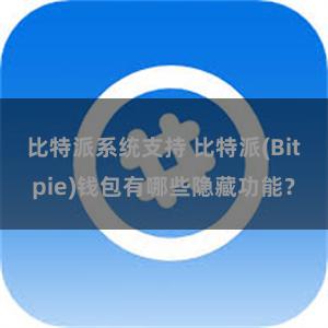 比特派系统支持 比特派(Bitpie)钱包有哪些隐藏功能？