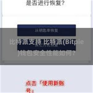 比特派支持 比特派(Bitpie)钱包安全性能如何？