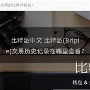 比特派中文 比特派(Bitpie)交易历史记录在哪里查看？