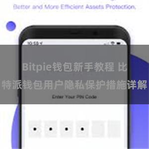 Bitpie钱包新手教程 比特派钱包用户隐私保护措施详解