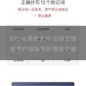 Bitpie系统支持 比特派钱包用户隐私保护措施详解