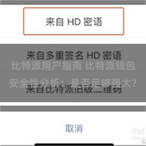 比特派用户指南 比特派钱包安全性分析：是否足够强大？
