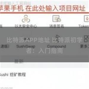 比特派APP地址 比特派初学者：入门指南